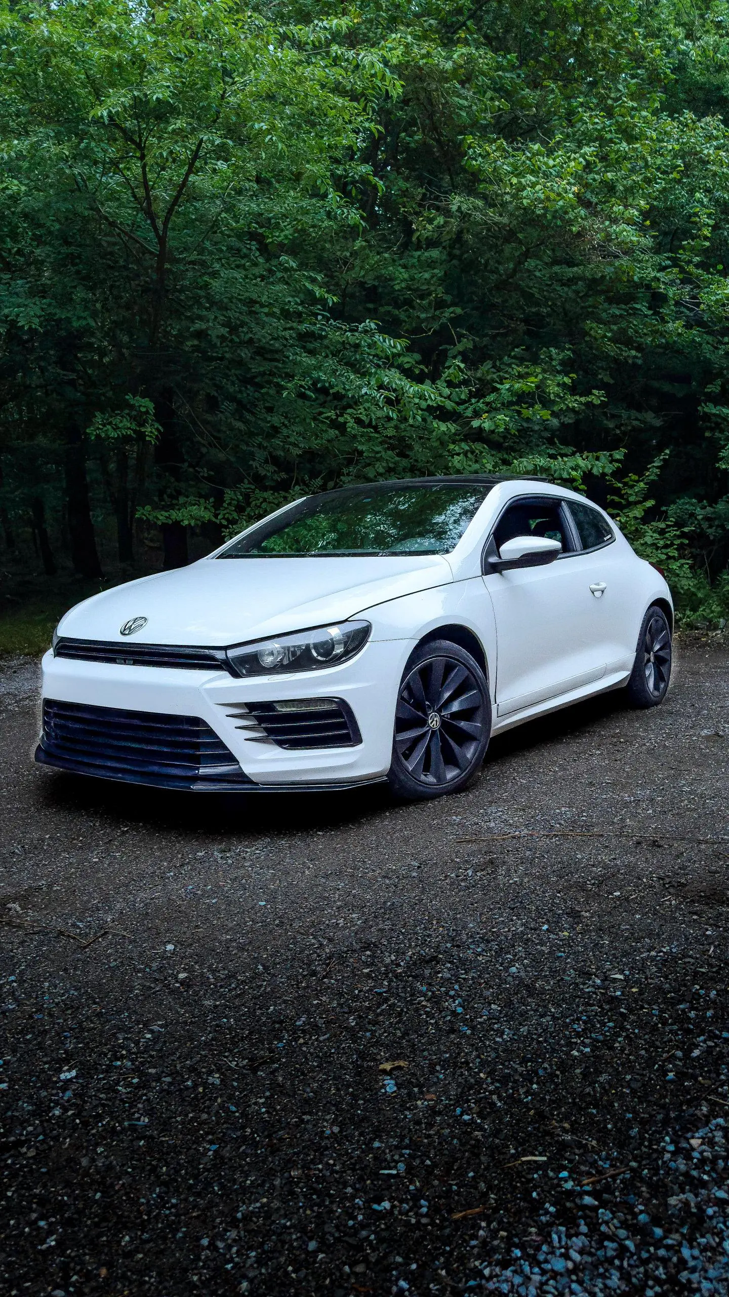Scirocco van Merel
